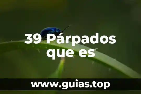Que es la costa oesta que bandera levanta 6 39 Párpados que es