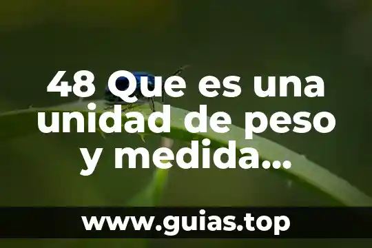 Que es desarrollo a la medida 7 48 Que es una unidad de peso y medida container