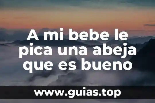 Por que es importante mantener limpios los genitales del bebe 8 A mi bebe le pica una abeja que es bueno