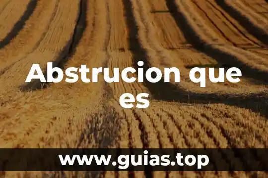 Historiadores que es 7 Abstrucion que es