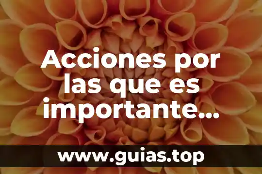 Que es el cribado en alimentos 8 Acciones por las que es importante cocinar los alimentos