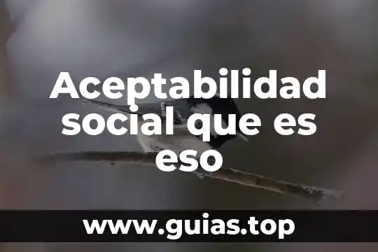 Concepto social que es 7 Aceptabilidad social que es eso