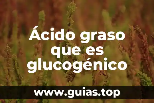 Para qué es el ácido fólico y el sulfato ferroso 3 Ácido graso que es glucogénico