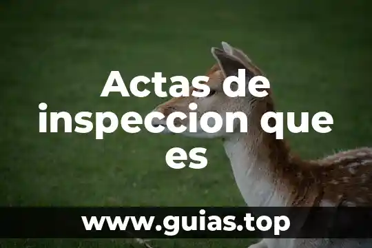 Que es temas generadores 4 Actas de inspeccion que es