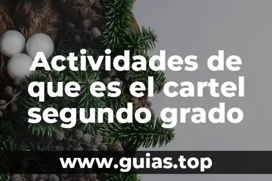 Qué es un encuadre de actividades 3 Actividades de que es el cartel segundo grado