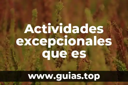 Que es una compilación de actividades 3 Actividades excepcionales que es