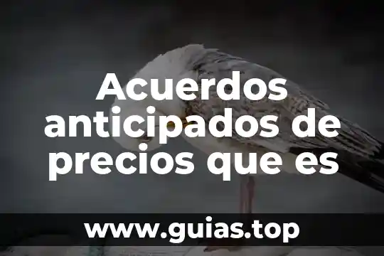 Qué es Alternativas y Acuerdos Definición 5 Acuerdos anticipados de precios que es