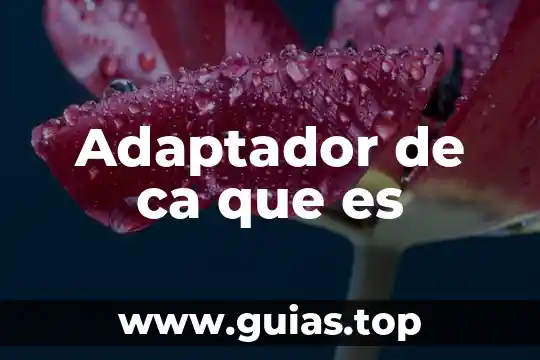 Adaptador salida audio óptico a RCA que es 5 Adaptador de ca que es