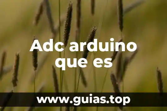 Concepto de que es alteracion auditiva en yahoo 8 Adc arduino que es