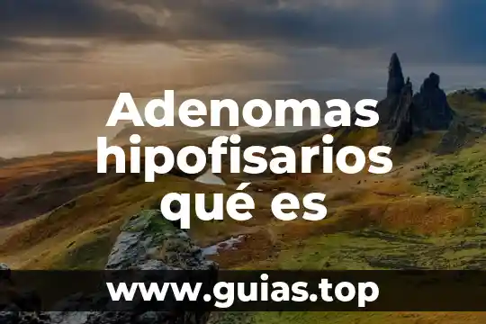 Qué es plurianual concepto 8 Adenomas hipofisarios qué es
