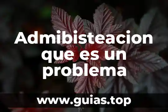 Que es un problema primario y secundario 8 Admibisteacion que es un problema