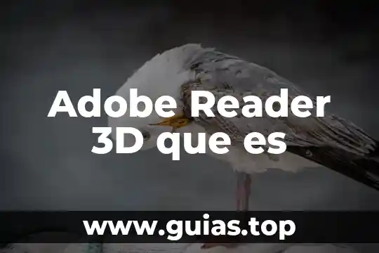 3D Chip qué es 5 Adobe Reader 3D que es