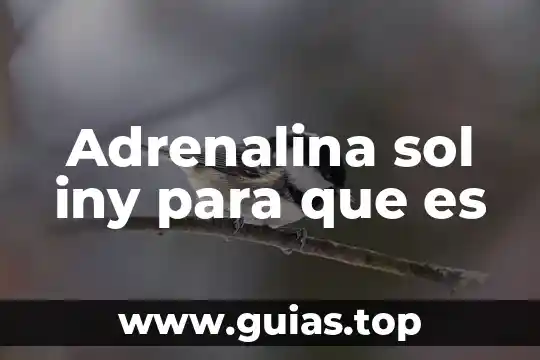 Que es un glifo sol 3 Adrenalina sol iny para que es