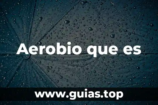Bordo agua que es 5 Aerobio que es