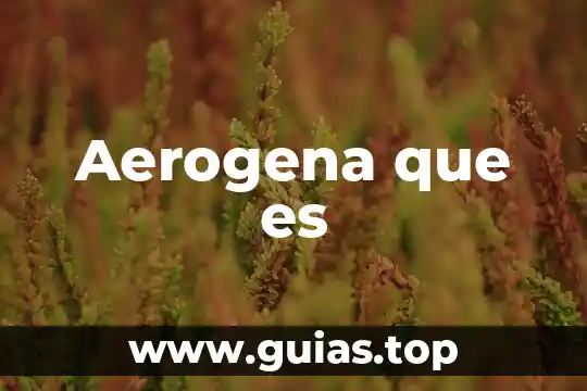 Qué es paradigma en f.c-e 5 Aerogena que es