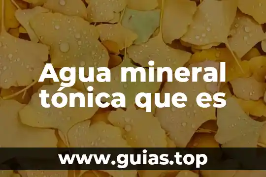 Que es la silaba tonica yahoo 3 Agua mineral tónica que es