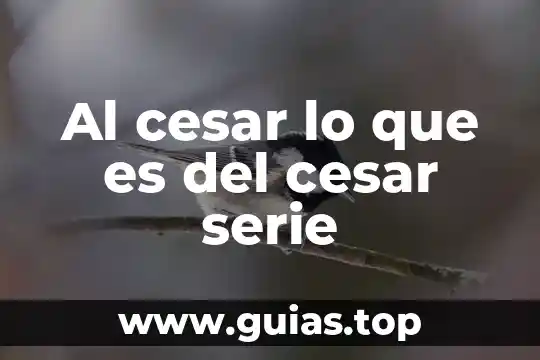Qué es el número de serie de una computadora 6 Al cesar lo que es del cesar serie