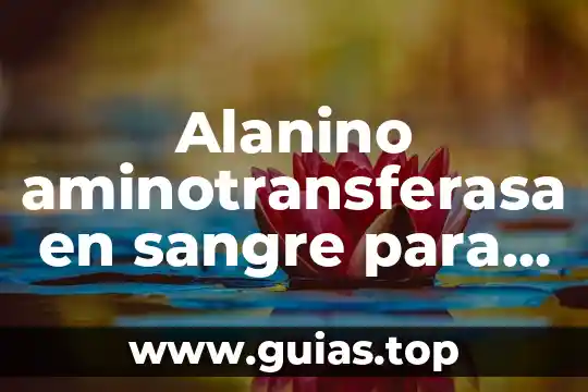 Perdona indicando que es hora 6 Alanino aminotransferasa en sangre para que es