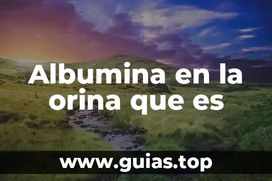 Para que es el estudio general de orina 3 Albumina en la orina que es