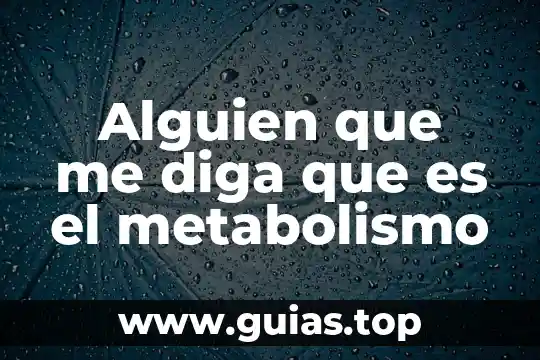 Diga que es un principio de acción en amparo 7 Alguien que me diga que es el metabolismo