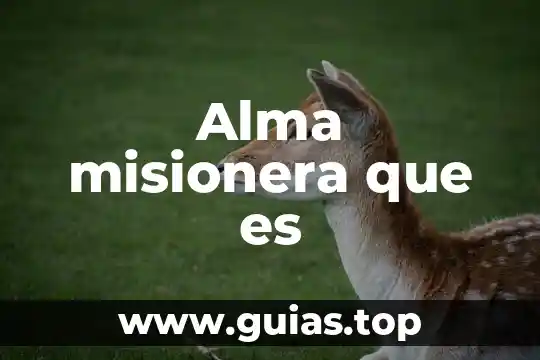 Que es el alma segun la religion hindu 4 Alma misionera que es