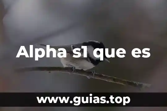 Principio lo que es nulo no produce efecto alguno 3 Alpha s1 que es