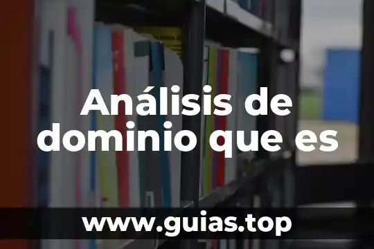 Análisis interno de una empresa que es 4 Análisis de dominio que es