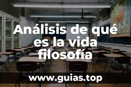 Que es una linea de vida personal 3 Análisis de qué es la vida filosofía