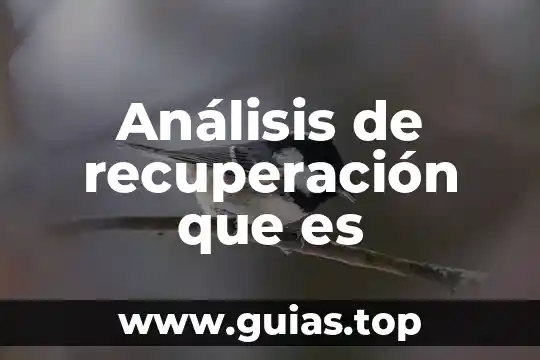 Que es la recuperacion de agua empresaa embotelladora 6 Análisis de recuperación que es