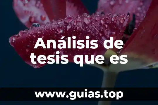 Variables o categorías de análisis que es 8 Análisis de tesis que es