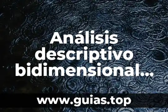 Qué es un análisis concepto 6 Análisis descriptivo bidimensional que es
