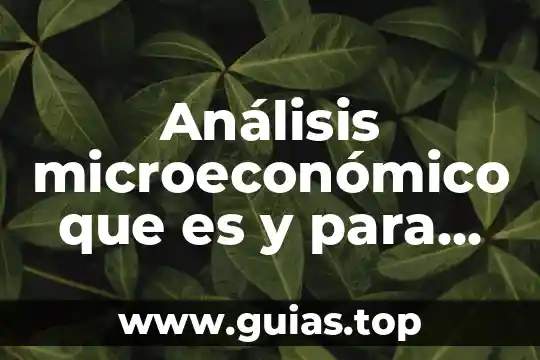 Lan que es y para que sirve 6 Análisis microeconómico que es y para que sirve
