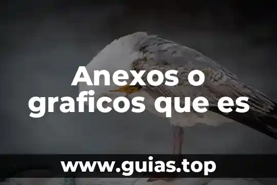 En metodología que es el planteamiento del problema 4 Anexos o graficos que es