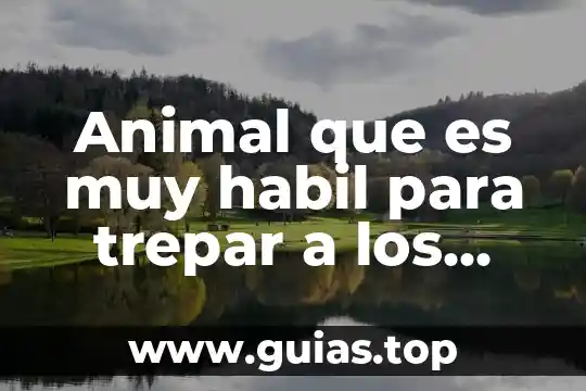 Que es la forma piramidal en los arboles 4 Animal que es muy habil para trepar a los arboles
