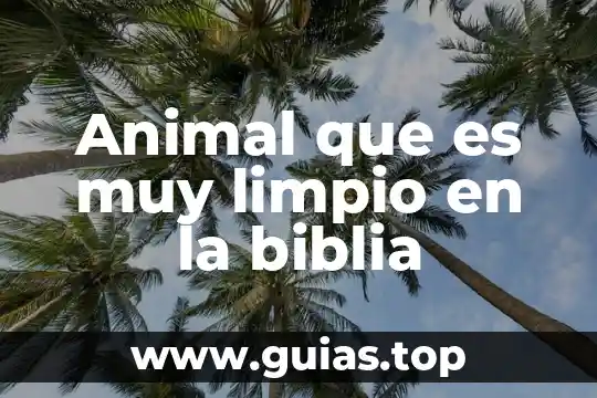 Como limpio minreloj que es de tipo plastico 7 Animal que es muy limpio en la biblia