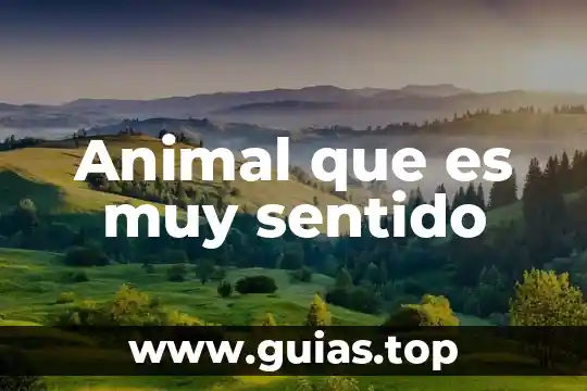Cena de navidad que es muy salada 8 Animal que es muy sentido