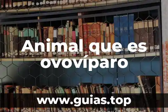 Que es un animal raptor 7 Animal que es ovovíparo