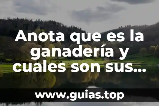 Qué es una señal analógica y cuáles son sus características 7 Anota que es la ganadería y cuales son sus tipos