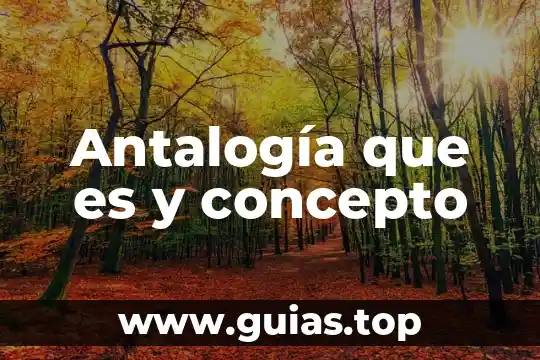 Que es el concepto relacionado con la gravedad soporte salto 5 Antalogía que es y concepto