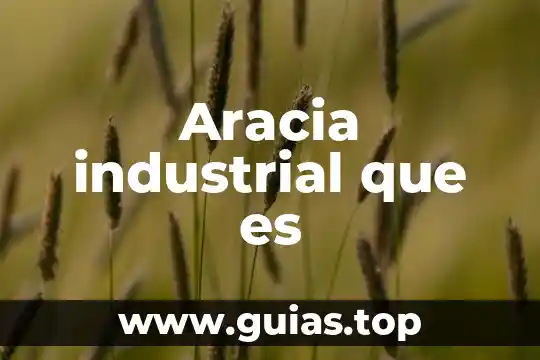 Que es fuente de agua dulce 5 Aracia industrial que es