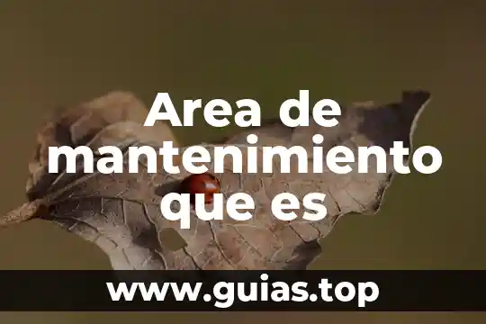 Que es el agua y de que esta hecha 3 Area de mantenimiento que es