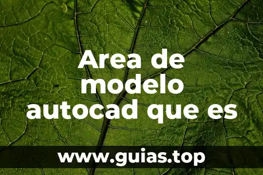 Que es un modelo vrbal 4 Area de modelo autocad que es