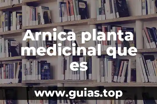Santa maria planta medicinal que es 3 Arnica planta medicinal que es
