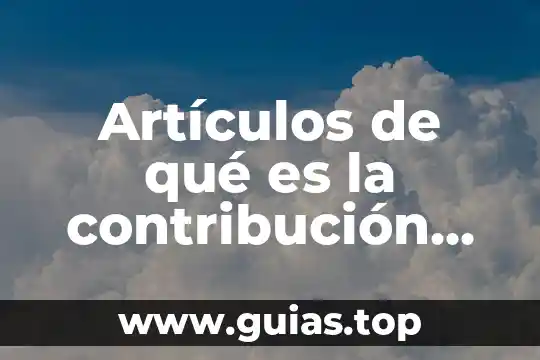 Que es libertad en general articulos educativos 8 Artículos de qué es la contribución social