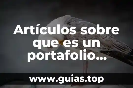 Que es la confirmacion de correo electronico 7 Artículos sobre que es un portafolio electrónico