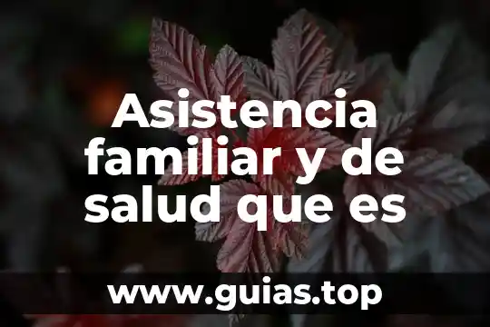 Que es el sistema de asistencia onstar 3 Asistencia familiar y de salud que es