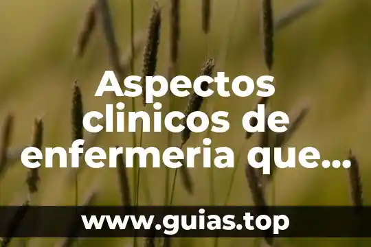 Qué es axiología en enfermeria 8 Aspectos clinicos de enfermeria que es