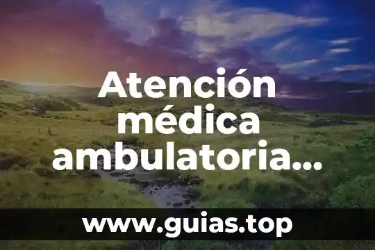 Qué es una receta médica ordinaria 8 Atención médica ambulatoria que es