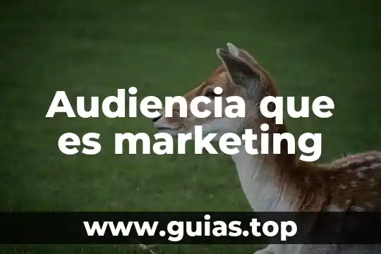 Para que es la audiencia de control de la detencion 8 Audiencia que es marketing