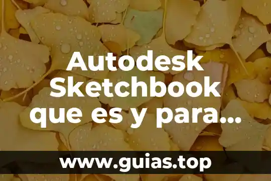 Qué es la teoría de la enfermeria científica 7 Autodesk Sketchbook que es y para que sirve